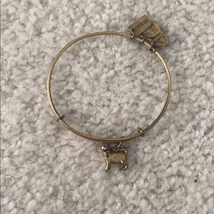 cat alex and ani bracelet